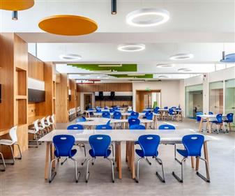 Lotus Cantilever Chairs