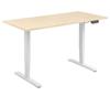 Double Motor Electric Sit Stand Desk